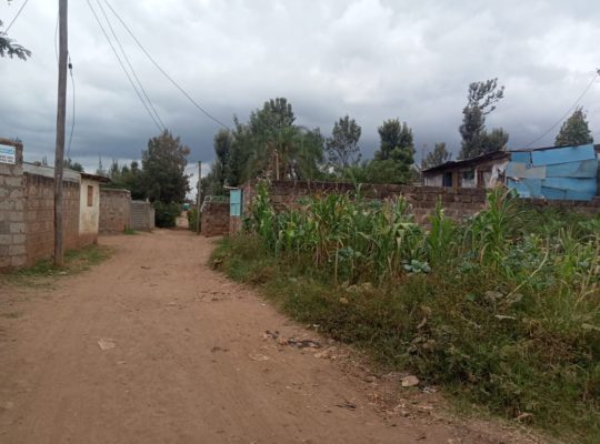 50 by 100 Plot for Sale Juja