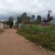 50 by 100 Plot for Sale Juja