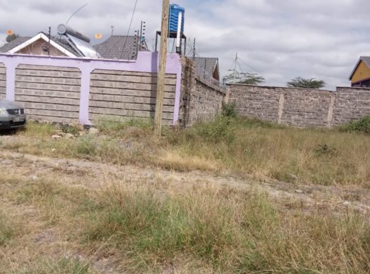40 by 60 Plot for Sale at Kagundo Road