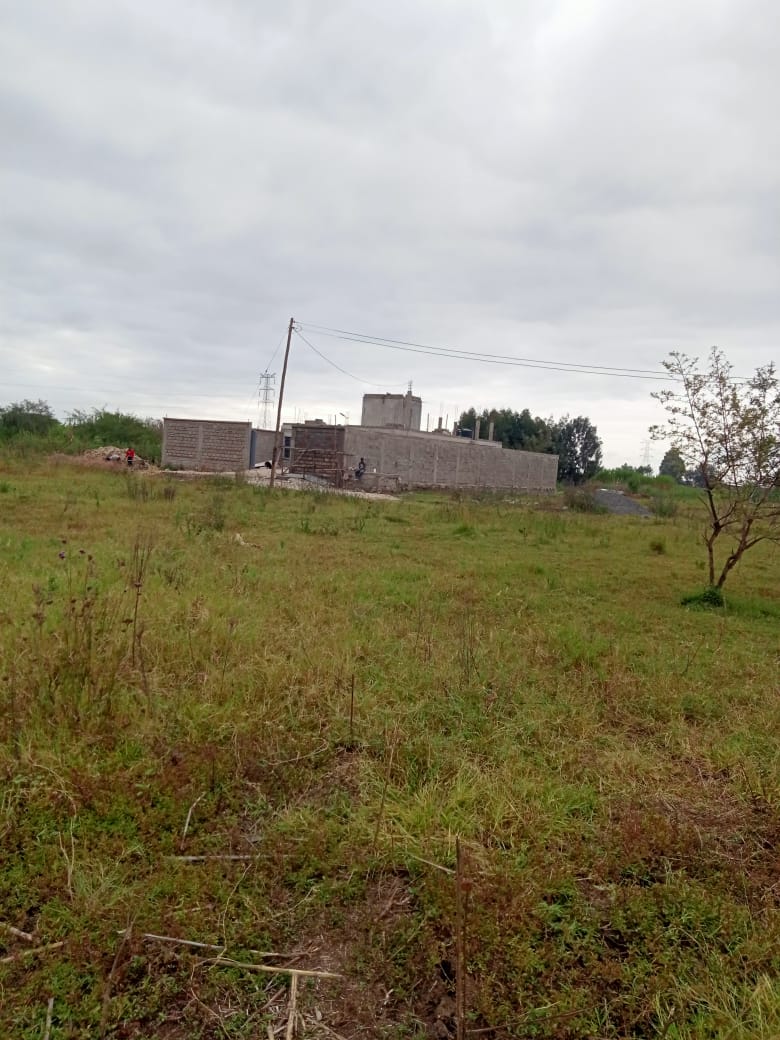 50 By 100 Plot For Sale Sokosawa Classifieds