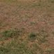 20 Acre at Juja Farm Mastore for Sale