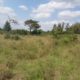 5 Acres at Gatuanyaga