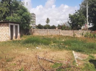 PRIME MTWAPA 50 BY 100 COMMERCIAL PLOT FOR SALE