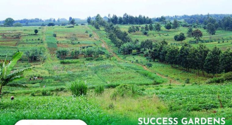 Success Gardens Thika