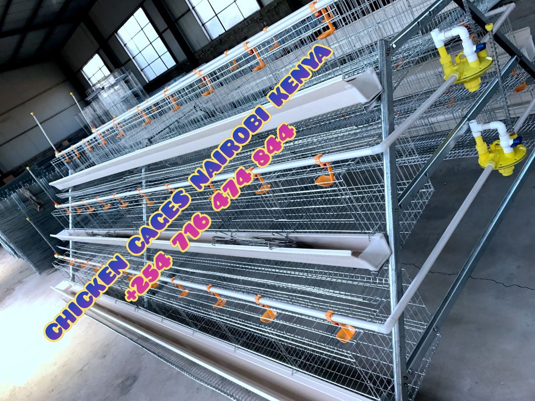 Quality Galvanized chicken cages