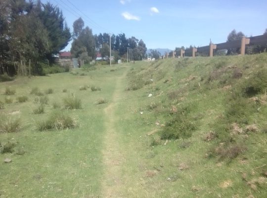 Plot 50 by 100