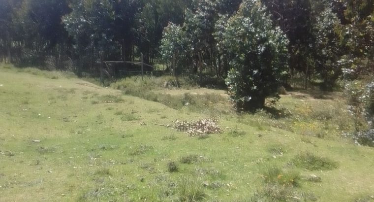 One Acre Land in Githabai Area South Kinangop