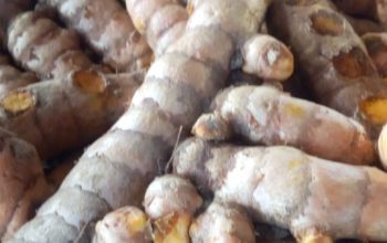 Selling Ginger and Tumeric