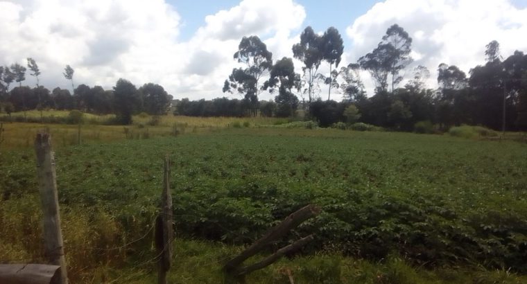 One Acre Land in Magumu Location Kenyatta Road Centre Kinangop Nyandarua