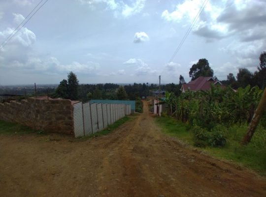 FOR SALE: RESIDENTIAL 40 BY 80 PLOT, KARURI-BANANA