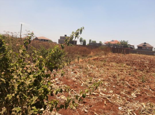 Tola Plots-Thika(Ngoingwa)