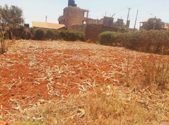 Tola Plots-Thika(Ngoingwa)