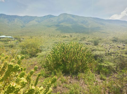 4 Acres for sale in Kimuka-Ngong