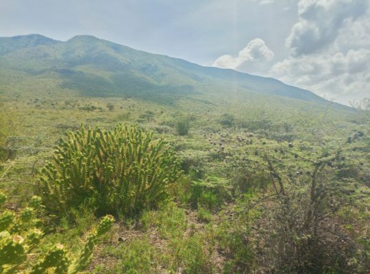 4 Acres for sale in Kimuka-Ngong