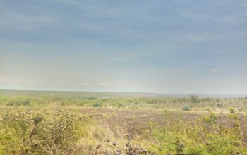 4 Acres for sale in Kimuka-Ngong