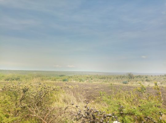 4 Acres for sale in Kimuka-Ngong