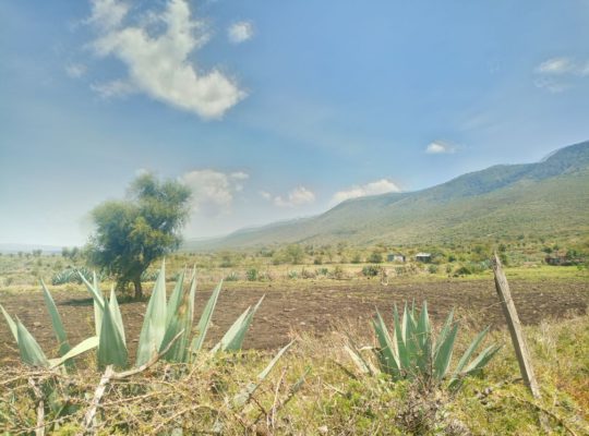 4 Acres for sale in Kimuka-Ngong