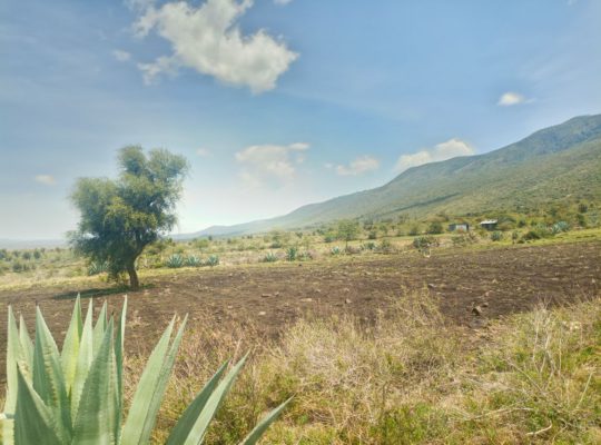 4 Acres for sale in Kimuka-Ngong