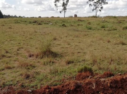 Residential Plots
