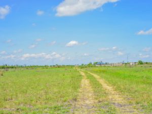 THIKA ROAD PLOT FOR SALE