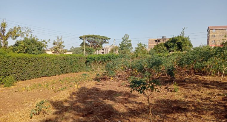 FOR SALE: 1/4 ACRE RESIDENTIAL PLOT, JUJA TOWN