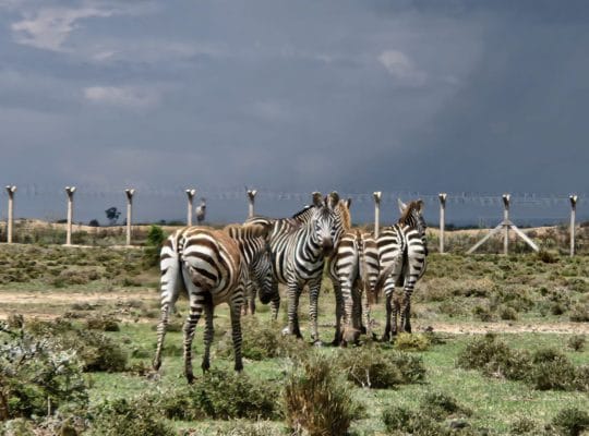 Nanyuki Sweetwaters Estate