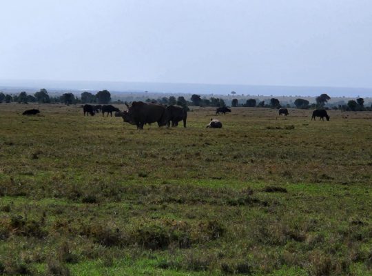 Nanyuki Sweetwaters Estate