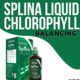 Splina liquid chlorophyll