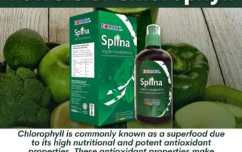 Splina liquid chlorophyll