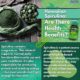 Hawaiian Spirulina