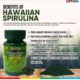 Hawaiian Spirulina