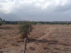 LAND FOR SELL. (10 acres)
@5M