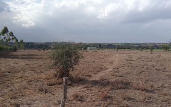 LAND FOR SELL. (10 acres)
@5M