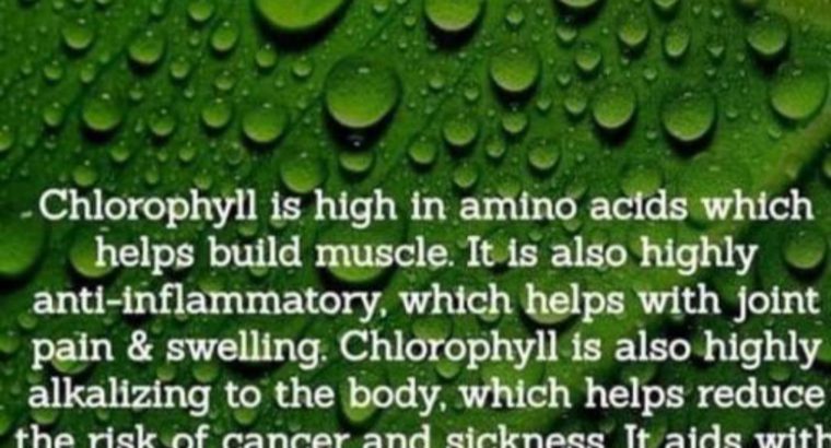 Splina liquid chlorophyll