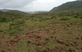 5 acres Land with ready title for sale in Nguirubi Ndeiya