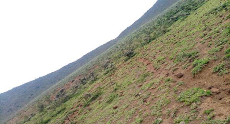 5 acres Land with ready title for sale in Nguirubi Ndeiya
