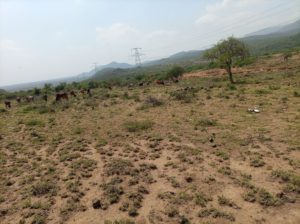 50×100 plots for sale fronting Ngong-Suswa great southern bypass with ready titles.