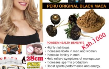Pure black Maca Root Extracts Powder