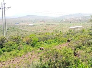 5 acres sale in Limuru constituency