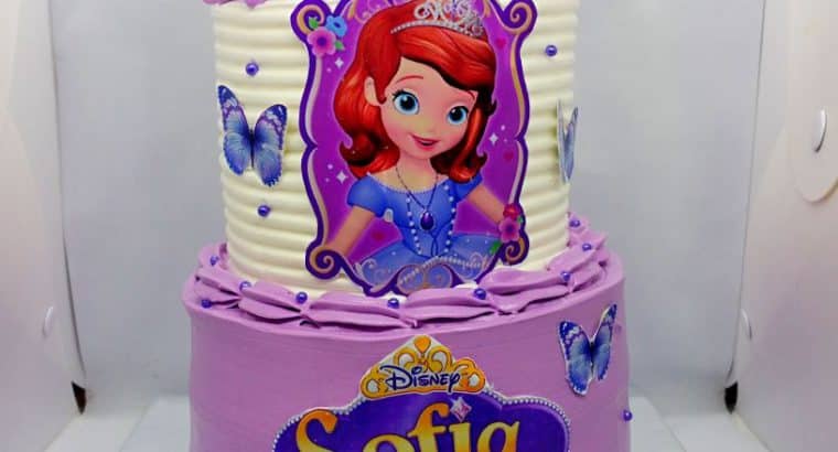 Sofia themed cake